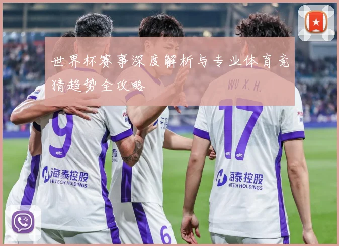 世界杯赛事深度解析与专业体育竞猜趋势全攻略